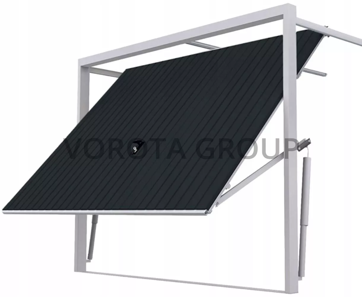 Подъемные гаражные ворота секционные Alutech черного цвета 2500x2500